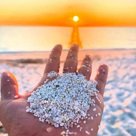 Sea